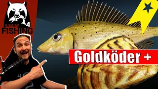 Russian Fishing 4 - Windenbach - Goldköder und Don Spot