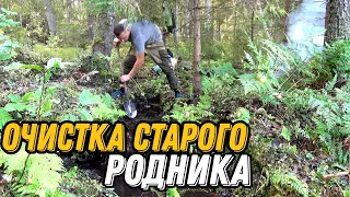 Спасаю старый родник. Лось хотел подраться.