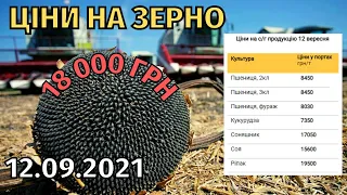 Ціни на зерно! Соняшник все більше дорожчає. Пшениця та Ріпак поки що стабільні. Ячмінь дешевшає.