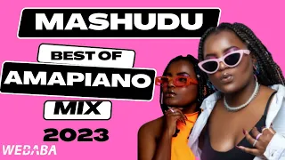 Mashudu Best of Amapiano Mix 2023 | 01 Feb | Dj Webaba