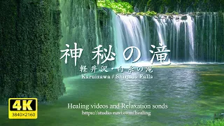 【環境音・ASMR】白糸の滝／滝の音と川のせせらぎ音癒し3時間・疲れた心身の回復・リラックス効果・勉強中や作業用に、またオフィスなどの癒しの空間作りに。natural sound 3 hours