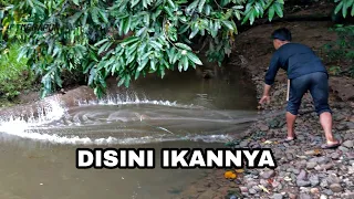 IKANNYA NGUMPUL DI MUARA ANAK SUNGAI ‼️JALA IKAN DI PINGGIR SUNGAI