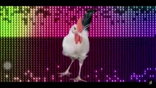 Chicken song 2 Not original￼￼!!!