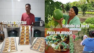 Família reunida na roça, esfirra aberta, peixe no almoço, canjica e trabalho na horta!