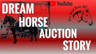 I BOUGHT A FRIESIAN FROM AN AUCTION!!!!!!|Vlog
