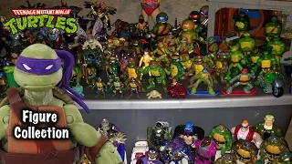 Ninja Turtle Action Figure Collection Collection!