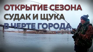 Рыбалка в Новосибирске ранней весной. Ловля щуки и судака! Тестирую Garmin Echomap Plus 92sv