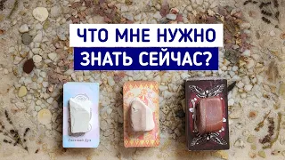 Что мне нужно знать сейчас? | 3 варианта | Гадание онлайн | Таро расклад | Таро терапия Души