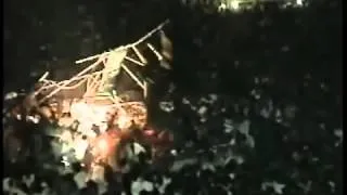 Lighting tower collapses at  Deep Purple Chile Concert 1997