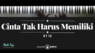 Cinta Tak Harus Memiliki - ST12 (KARAOKE PIANO - MALE KEY)