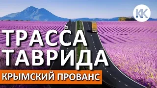 Трасса Таврида. ЛАВАНДОВЫЕ ПОЛЯ. Строительство дорог в Крыму. Капитан Крым