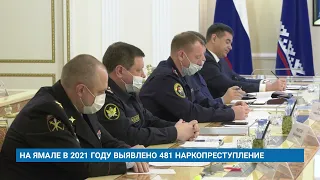 НА ЯМАЛЕ В 2021 ГОДУ ВЫЯВЛЕНО 481 НАРКОПРЕСТУПЛЕНИЕ