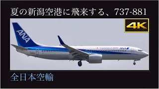 4K 大阪国際空港から夏の新潟空港に飛来する、Boeing 737-881 : 全日本空輸(All Nippon Airways : ANA)  JA68AN  伊丹→新潟線(NH1657便)