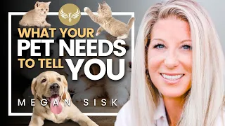 What Your Pets NEED You To KNOW [POWERFUL] Animal Communication Animal Communicator Megan Sisk