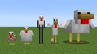 cursed chickens