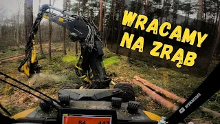 WRACAMY DO CIĘCIA🌲OPERATOR HARWESTERA🌲Ponsse Ergo 🌲PRYWACIARZ