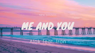 Alok - Me and You feat. Iro (Lyrics/ Tradução)