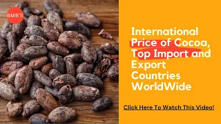 Best Cocoa Import and Export Countries Worldwide 2021