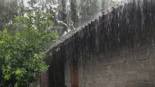 Torrential rainstorm & very huge thunder sounds for sleeping relaxing studying with rural ambience