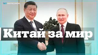 Си Цзиньпин: Китай выступает за мирные переговоры между Россией и Украиной