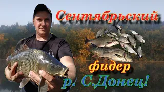 Сентябрьский фидер р. Северский Донец! Река Осенью не дает скучать! #maximusрыбалка #фидер2021