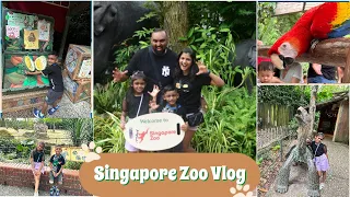 Singapore Zoo Vlog