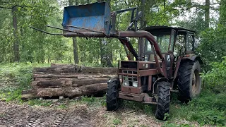 Farmvlog#70 Die anderen Schafe kommen auch auf die Weide und der Ihc ist am Ackern.