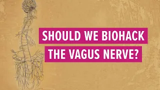 Should we biohack the vagus nerve? #vagus #polyvagal #toning