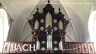 The Schnitger organ in Uithuizen | Netherlands Bach Society