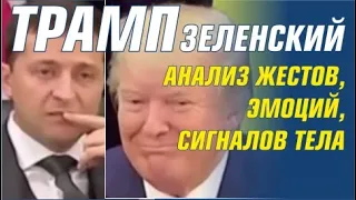 Встреча Зеленского и Трампа. Расшифровка жестов и эмоций. Перезапись.