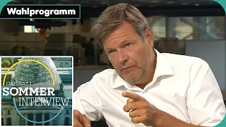 Straffes Wahlprogramm: Fehlt das nötige "Kleingeld"? | Sommerinterview | Bundestagswahl 2021 | SAT.1