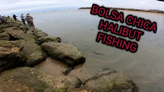 Huntington Beach/Bolsa Chica Fishing... Halibut