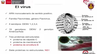 Manejo Clinico de la Infección por Dengue -  Martín Clendes Alvarado