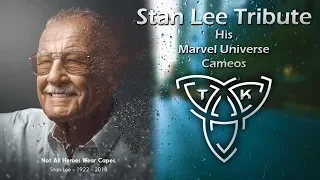 Stan Lee Tribute   Marvel Universe Cameos