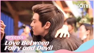 🧸Ending Special: Vlog of a big surprise to Orchid | Love Between Fairy and Devil | iQIYI Romance