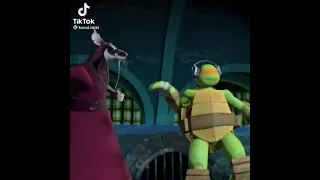 ninja turtle