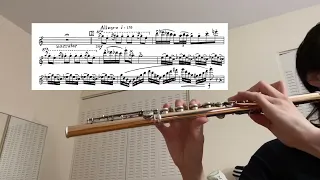 [3/18/24 practice log] Prokofiev Peter and the Wolf flute excerpt