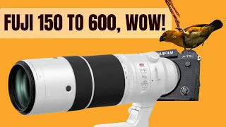 Fuji 150 to 600 Review | Fuji XT5 for Birding and wildlife