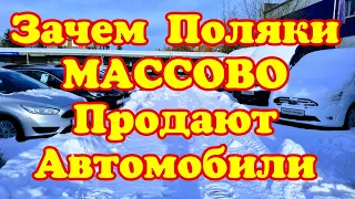 Зачем Поляки МАССОВО ПРОДАЮТ АВТОМОБИЛИ ??? Цены👍👍👍