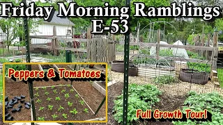 Tomatoes, Peppers, & Eggplant are In, Cool Crops Matured, Full Tour: FM Gardening Ramblings E-53
