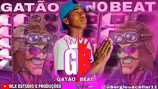 GATÃO NO BEAT EP SOM AUTOMOTIVO 🔊 VERÃO 2023 ☀️