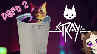 Stray but it Hurts Right in the Meow Meow