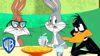 Looney Tunes em Português 🇧🇷 |  O Novo Melhor Amigo de Pernalonga  WB Kids