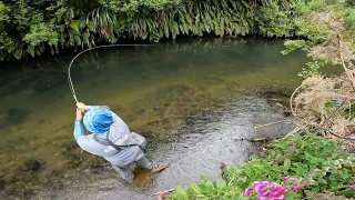 FLY FISHING a Small Stream for SURPRISINGLY GOOD Trout / 4K!