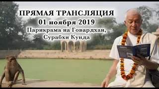 01 ноября 2019 ПРЯМАЯ ТРАНСЛЯЦИЯ ИЗ ВРИНДАВАНА