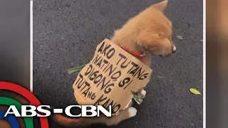 TV Patrol: Tuta, installation art, effigy, bumida sa SONA protest