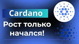 Cрочно!!! Cardano ( ADA) рост только начался! | что нужно для большого роста?