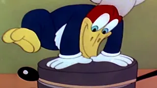 Who's Cookin' Who | Woody Woodpecker | Full Episode Compilation | Old Cartoons | Retro Bites