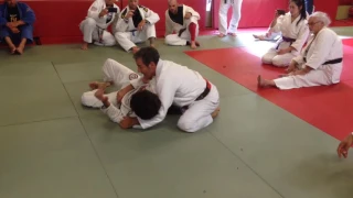 PEDRO SAUER | Passing the Half Guard to Armlock Submission