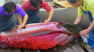 This Fish Is Banned in US, Here's WHY...
